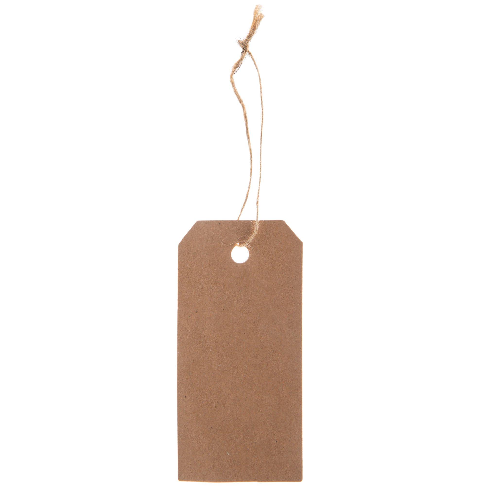 300 Pack Blank Bookmarks Bulk Kraft Paper with Hole for Craft, DIY & Gift  Tags (