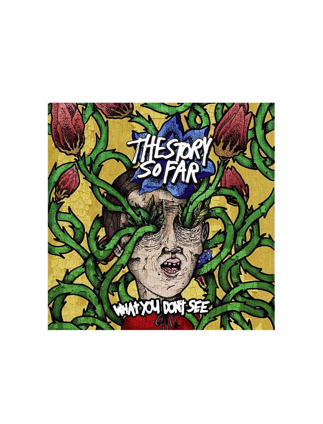 The Story So Far - What You Don't See Vinyl LP, , hi-res