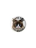 Grumpy Cat Hate You Pin, , hi-res