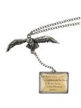 Harry Potter Hogwarts Acceptance Letter Necklace, , hi-res