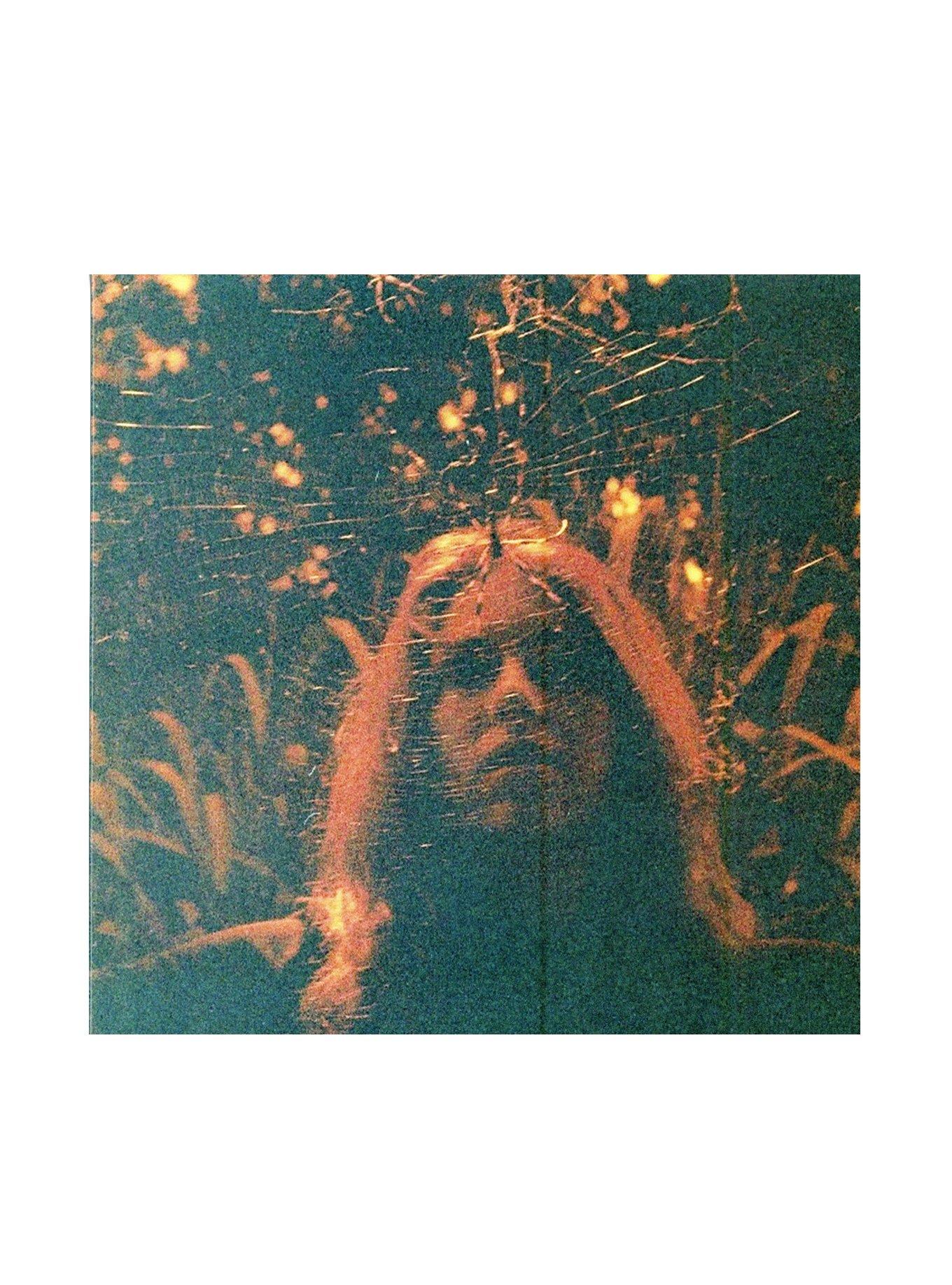 Turnover - Peripheral Vision Vinyl LP Hot Topic Exclusive, , hi-res