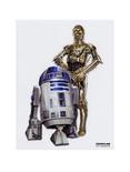 Star Wars R2-D2 & C-3PO Fanwraps Mini, , hi-res