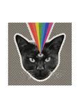 Never Shout Never - Black Cat Vinyl LP Hot Topic Exclusive, , hi-res
