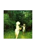 The World Is A Beautiful Place And I Am No Longer Afraid To Die - Harmlessness Vinyl LP Hot Topic Exclusive, , hi-res