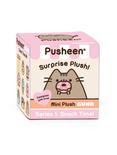 Pusheen Snack Time Surprise Plush Blind Box, , hi-res