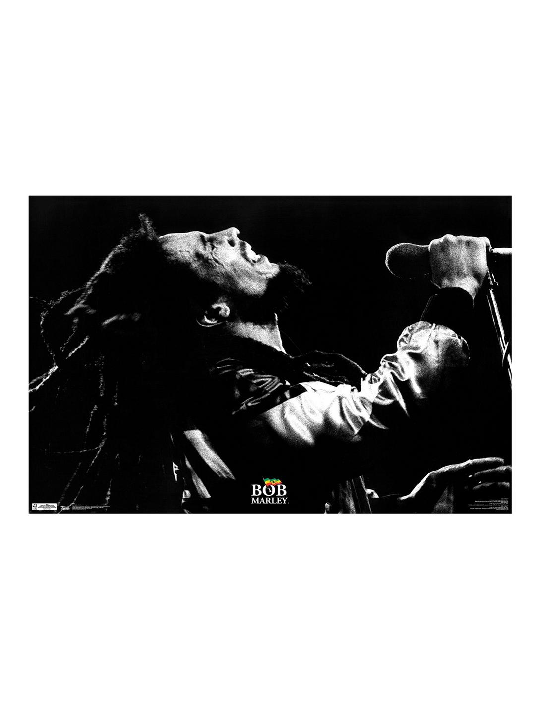 Bob Marley Live Poster, , hi-res
