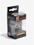 Funko Pocket Pop! Harry Potter Lord Voldemort Key Chain, , hi-res