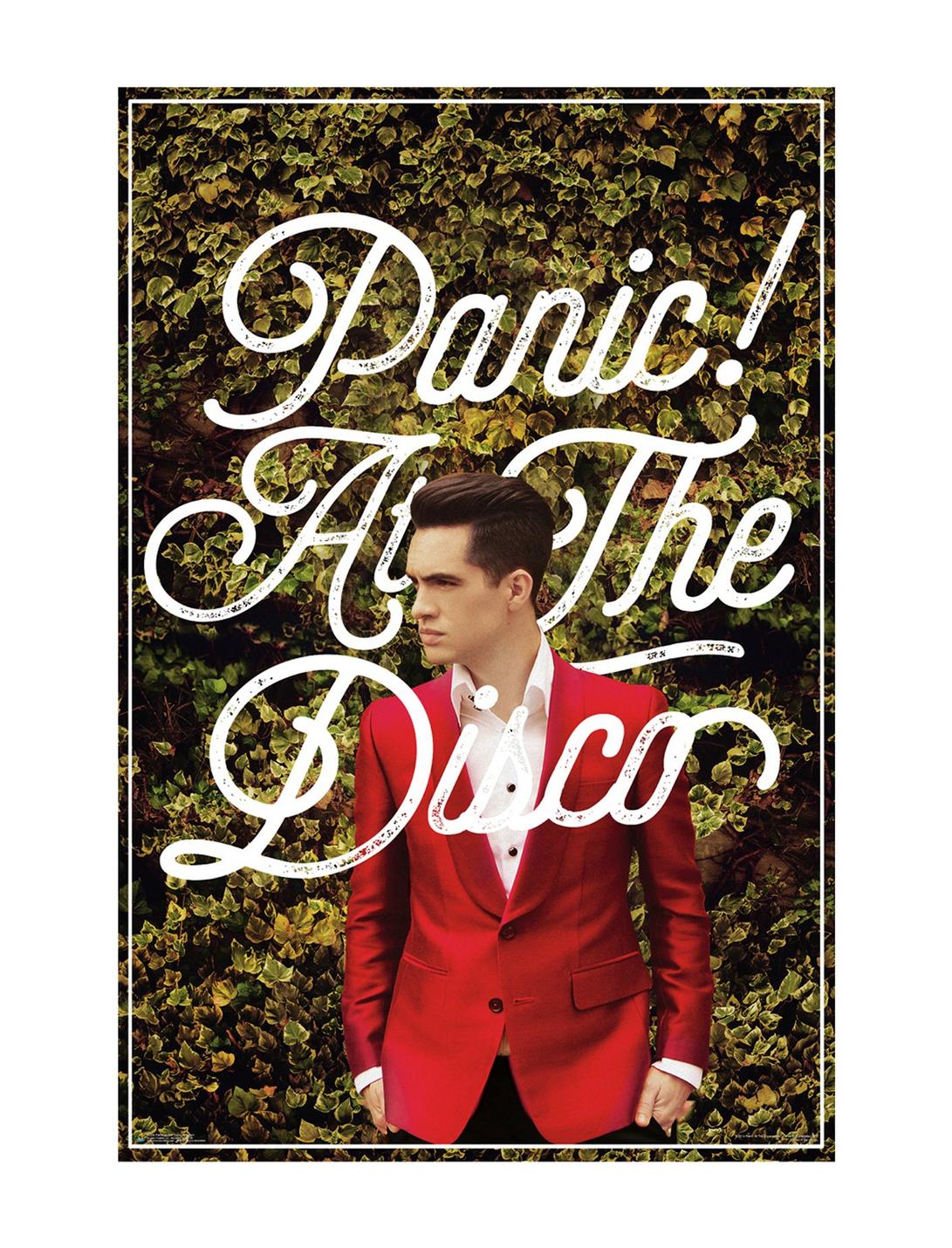 Panic! At The Disco Brendon Hedges Poster, , hi-res