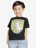 Harry Potter Hufflepuff Quidditch Toddler Tee, GREY, hi-res