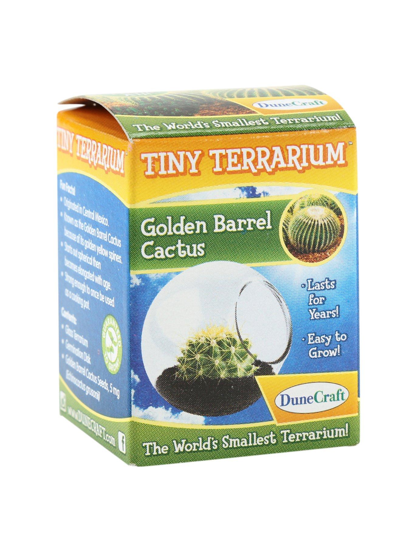 Golden Barrel Cactus Tiny Terrarium, , hi-res view 1