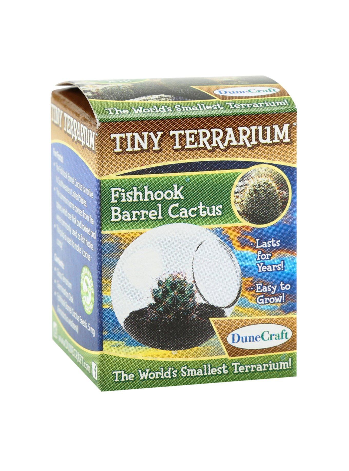 Fishhook Barrel Cactus Tiny Terrarium, , hi-res