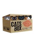 Cats In The Box Memo Tabbies, , hi-res
