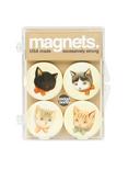 Badge Bomb Kitties Magnet Pack, , hi-res