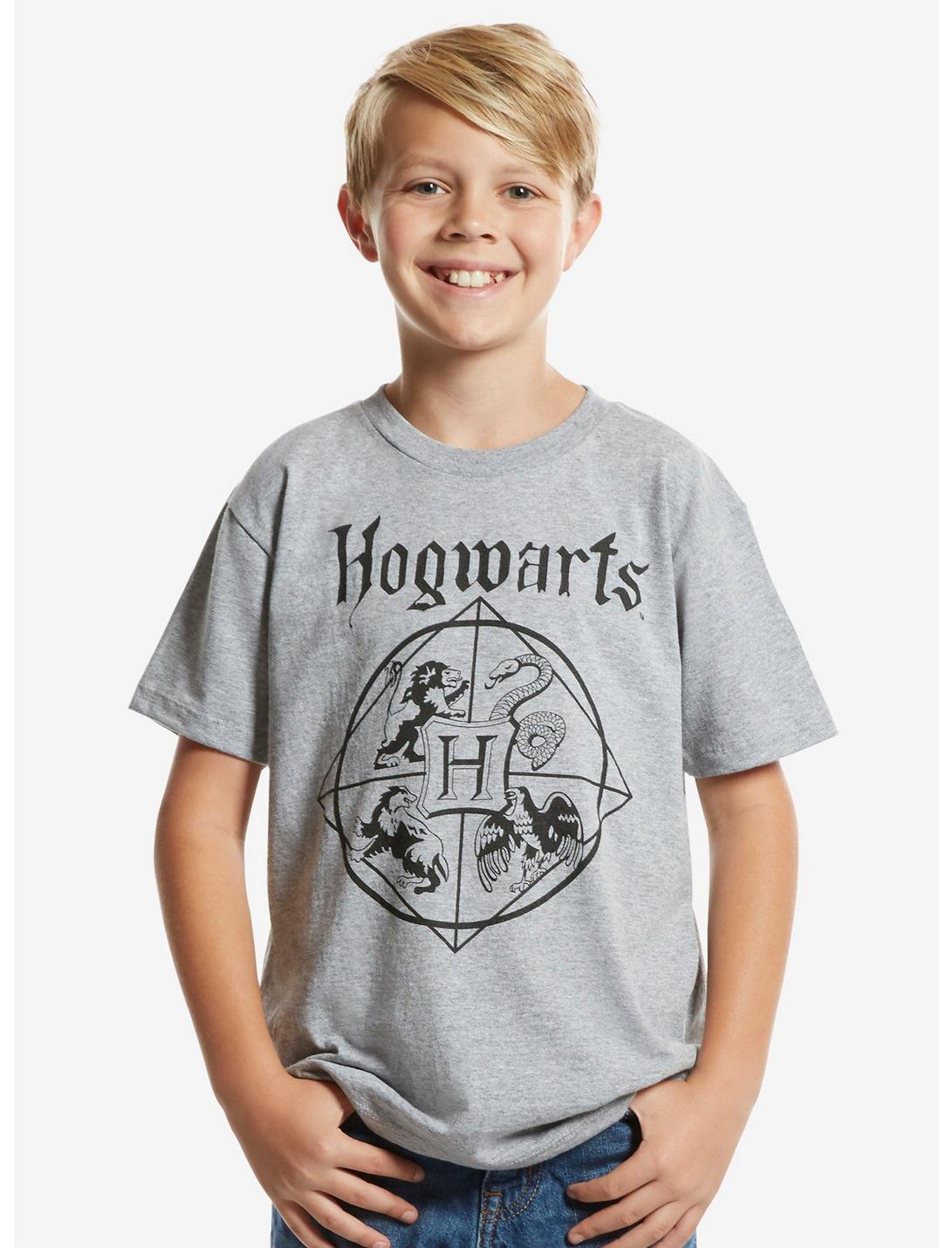 Harry Potter Hogwarts Quadrants Youth Tee, CHARCOAL, hi-res