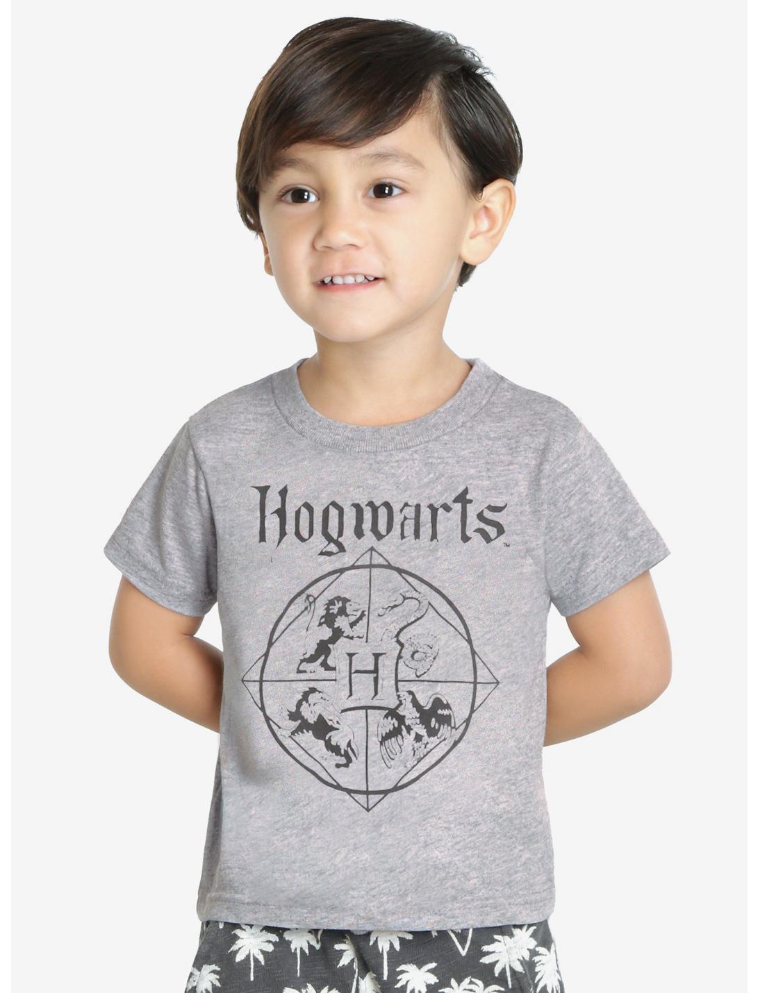 Harry Potter Hogwarts Light Quadrants Youth Tee, GREY, hi-res