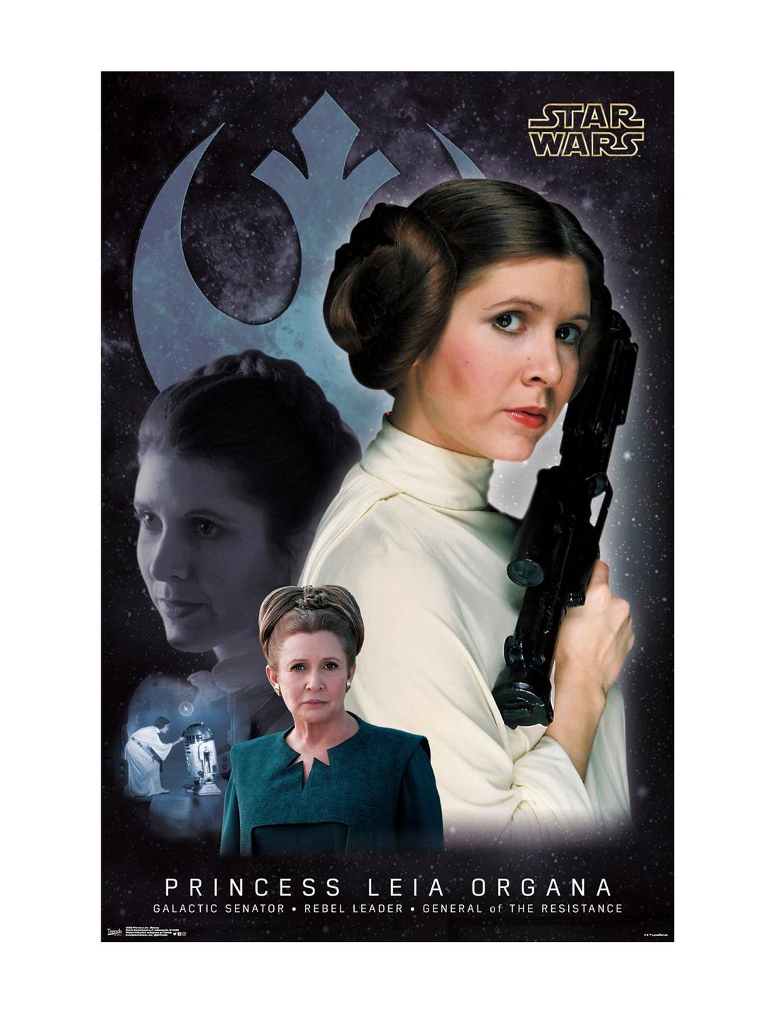 Star Wars Princess Leia Organa Poster, , hi-res