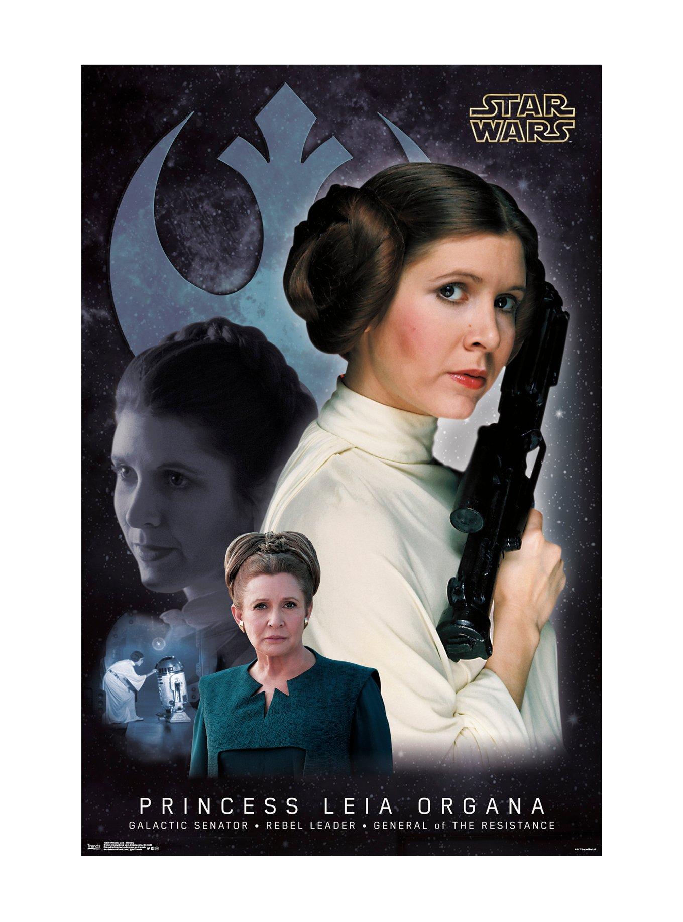 Star Wars Princess Leia Organa Poster, , hi-res