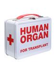 Human Organs Metal Lunchbox, , hi-res