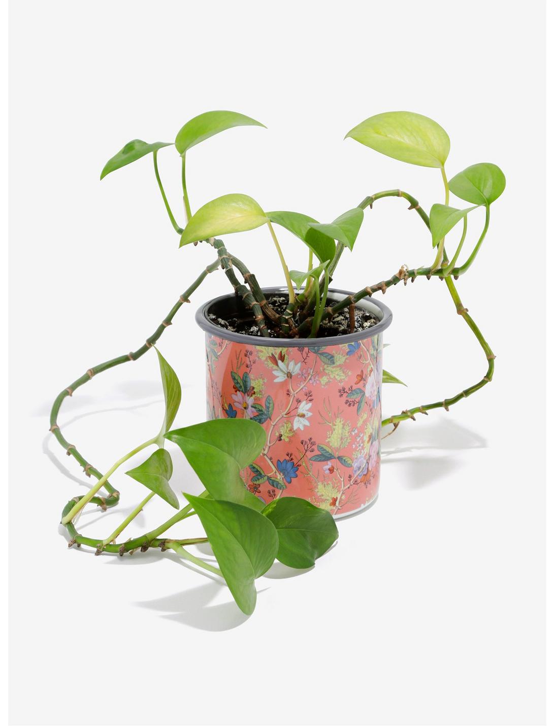 V&A Pink Enamel Gardening Pot, , hi-res