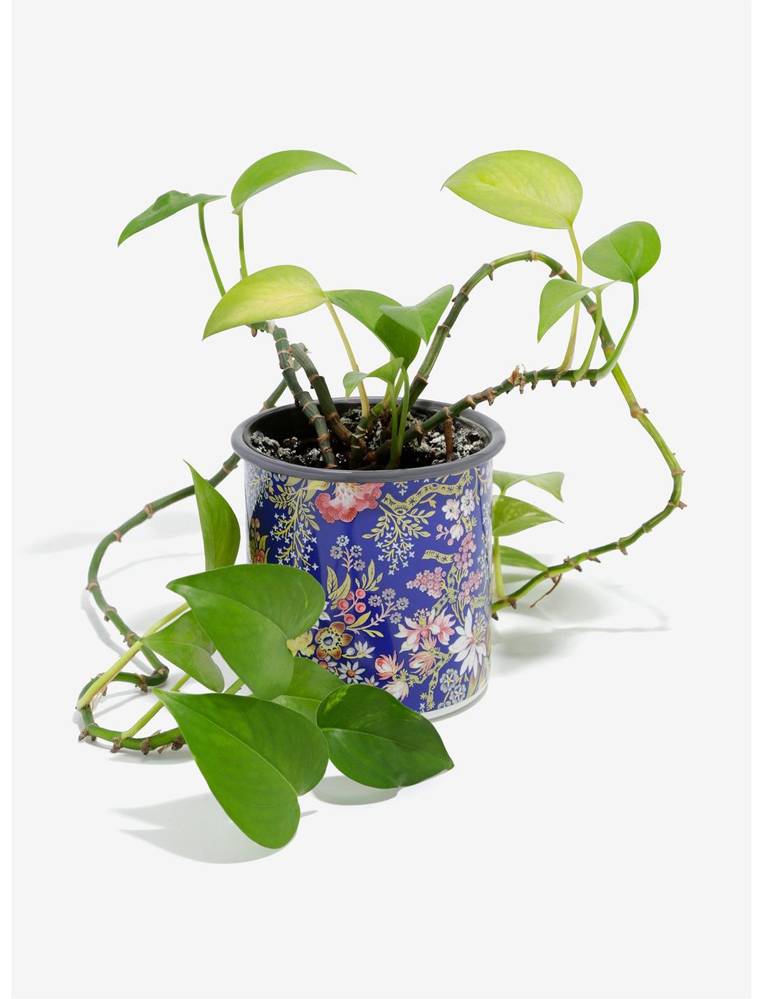 V&A Blue Enamel Gardening Pot, , hi-res