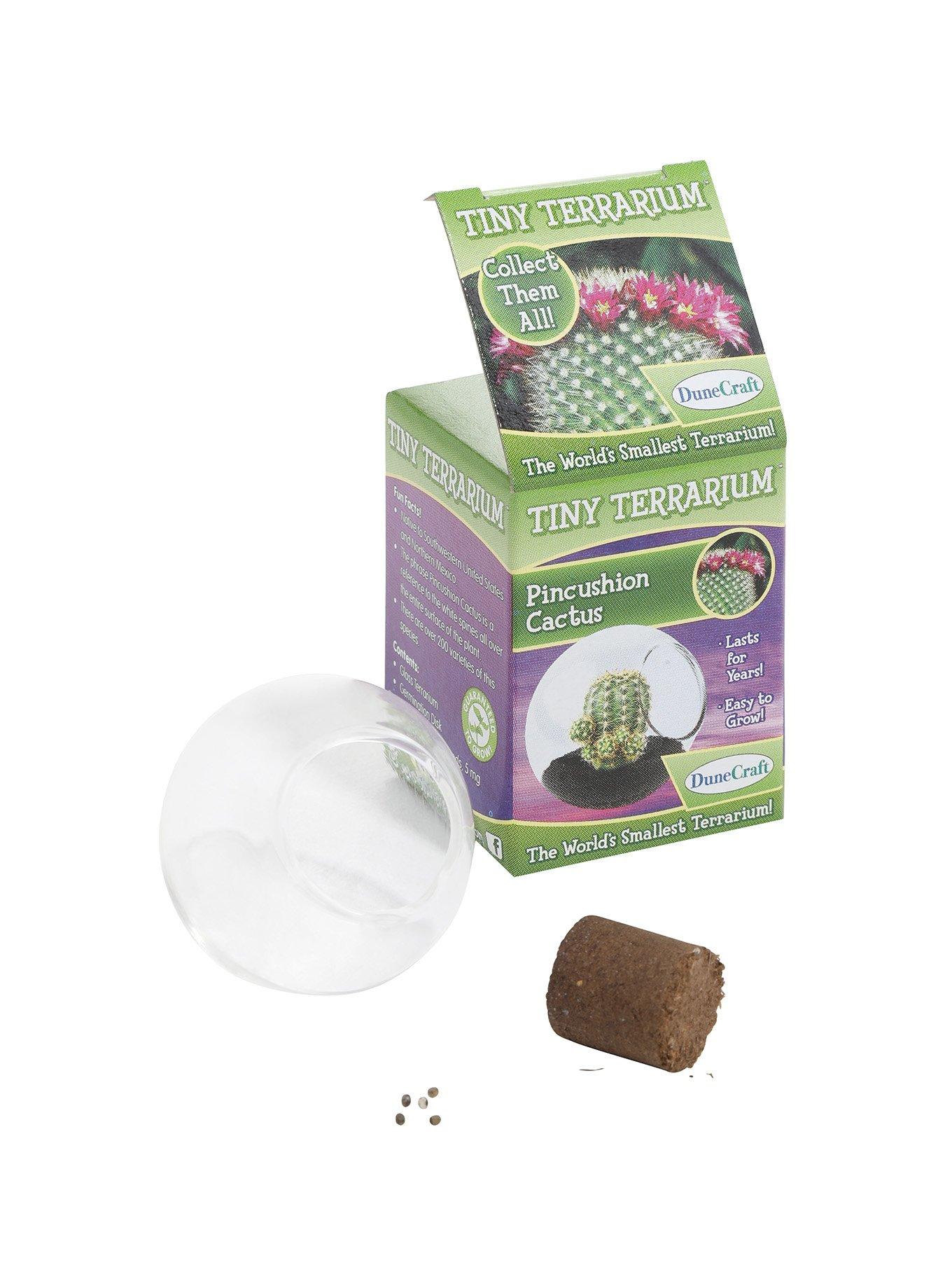 Pincushion Cactus Tiny Terrarium Hot Topic