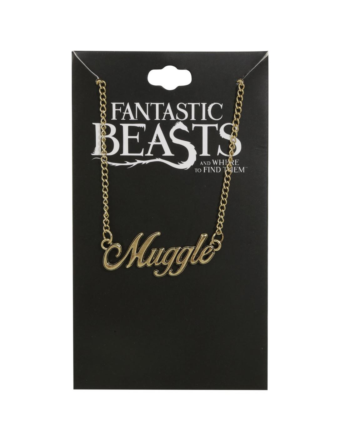 Fantastic Beasts And Where To Find Them Muggle Nameplate Necklace, , hi-res