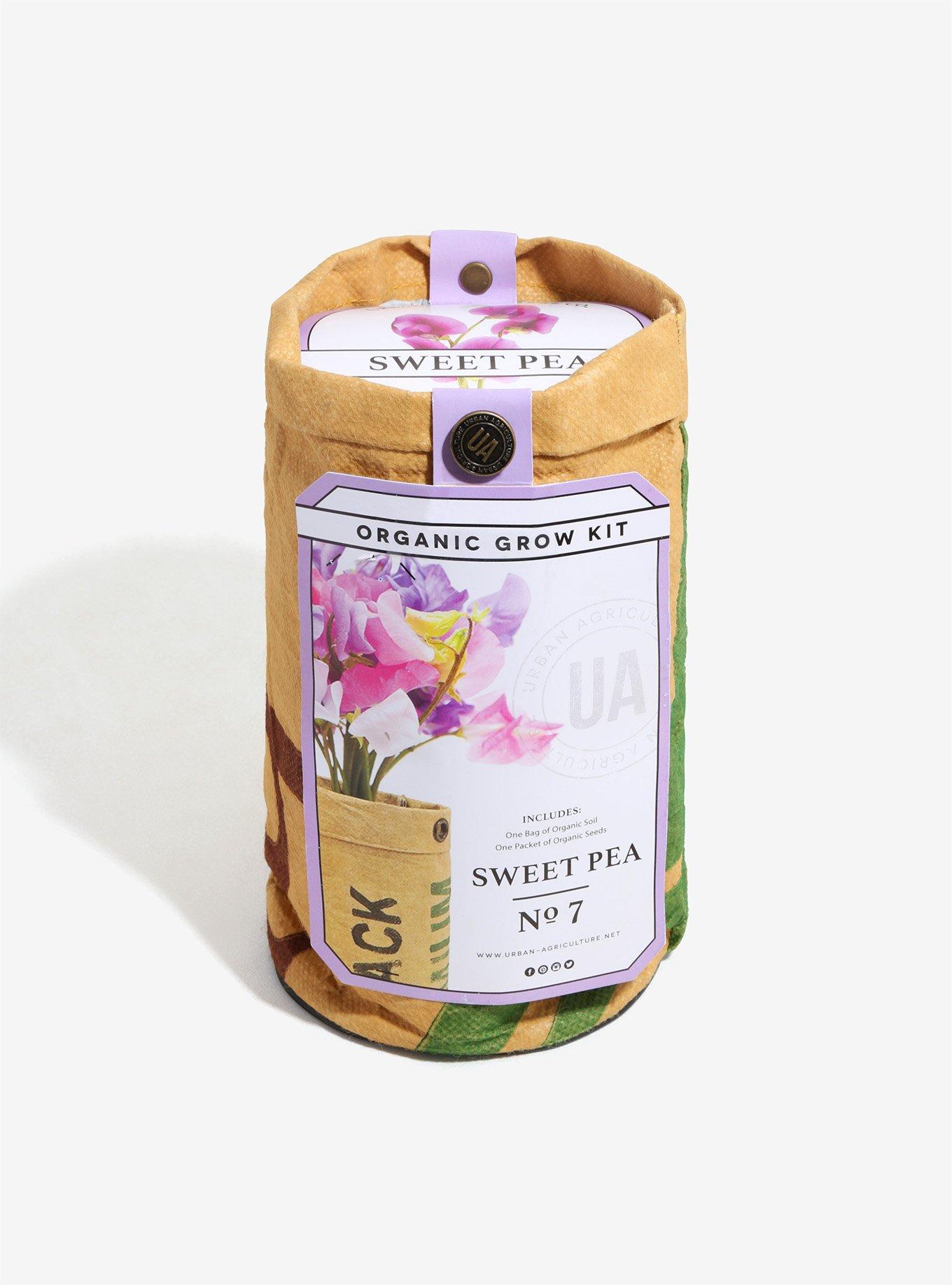 Urban Agriculture Sweet Pea Grow Kit, , hi-res