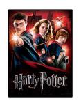 Harry Potter Hogwarts School Wrebbit Poster Puzzle, , hi-res