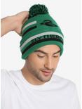 Harry Potter Slytherin Pom Beanie - BoxLunch Exclusive, , hi-res