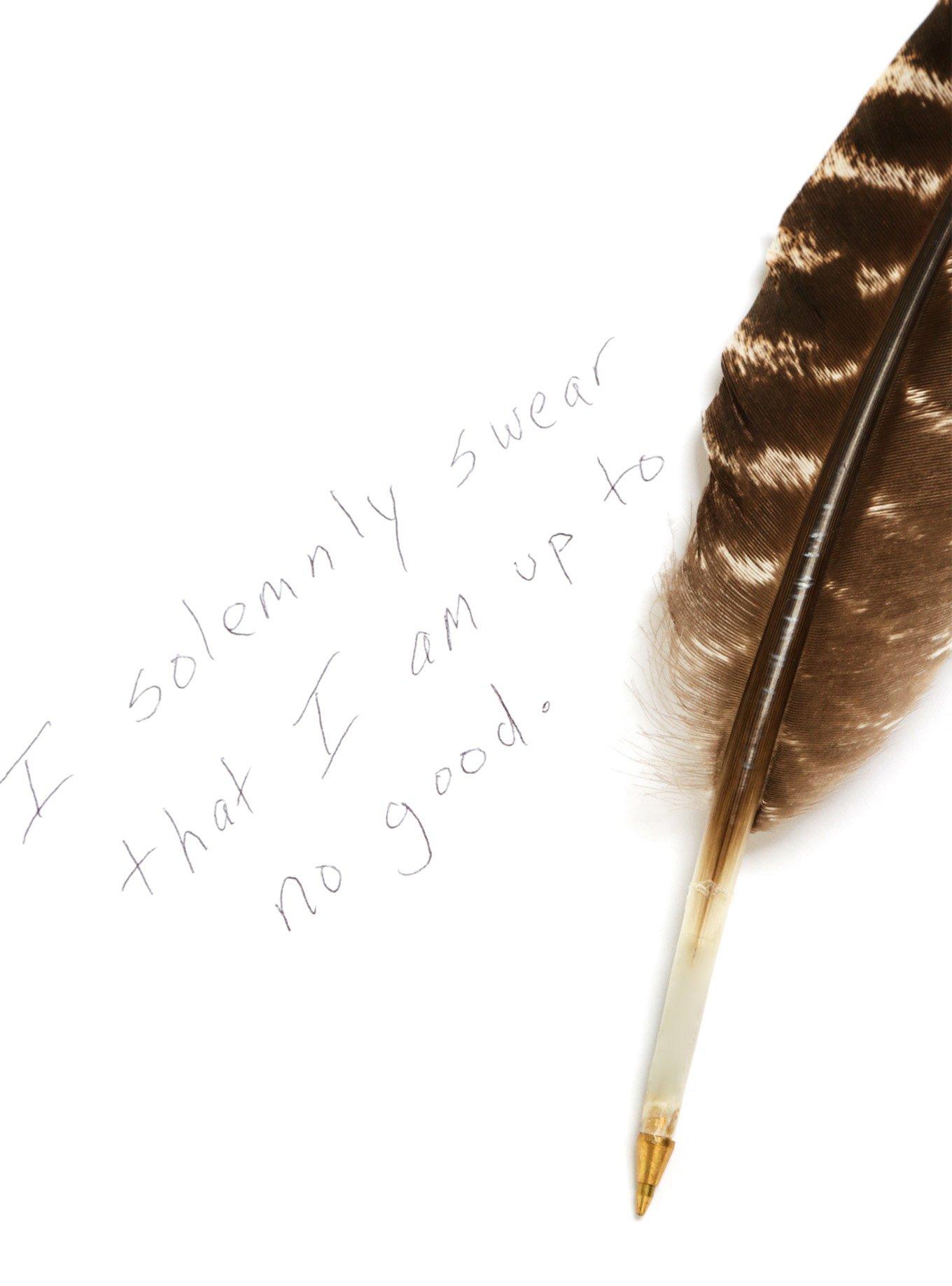 Harry Potter Feather Pen, , hi-res