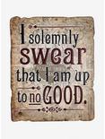 Harry Potter Solemnly Swear Tin Poster, , hi-res