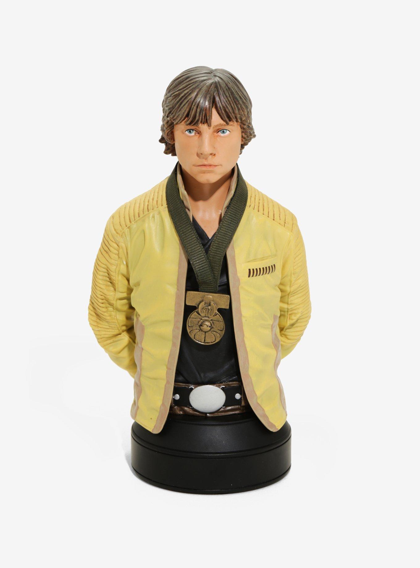 Star Wars Luke Skywalker (Hero Of Yavin) Collectible Mini Bust, , hi-res