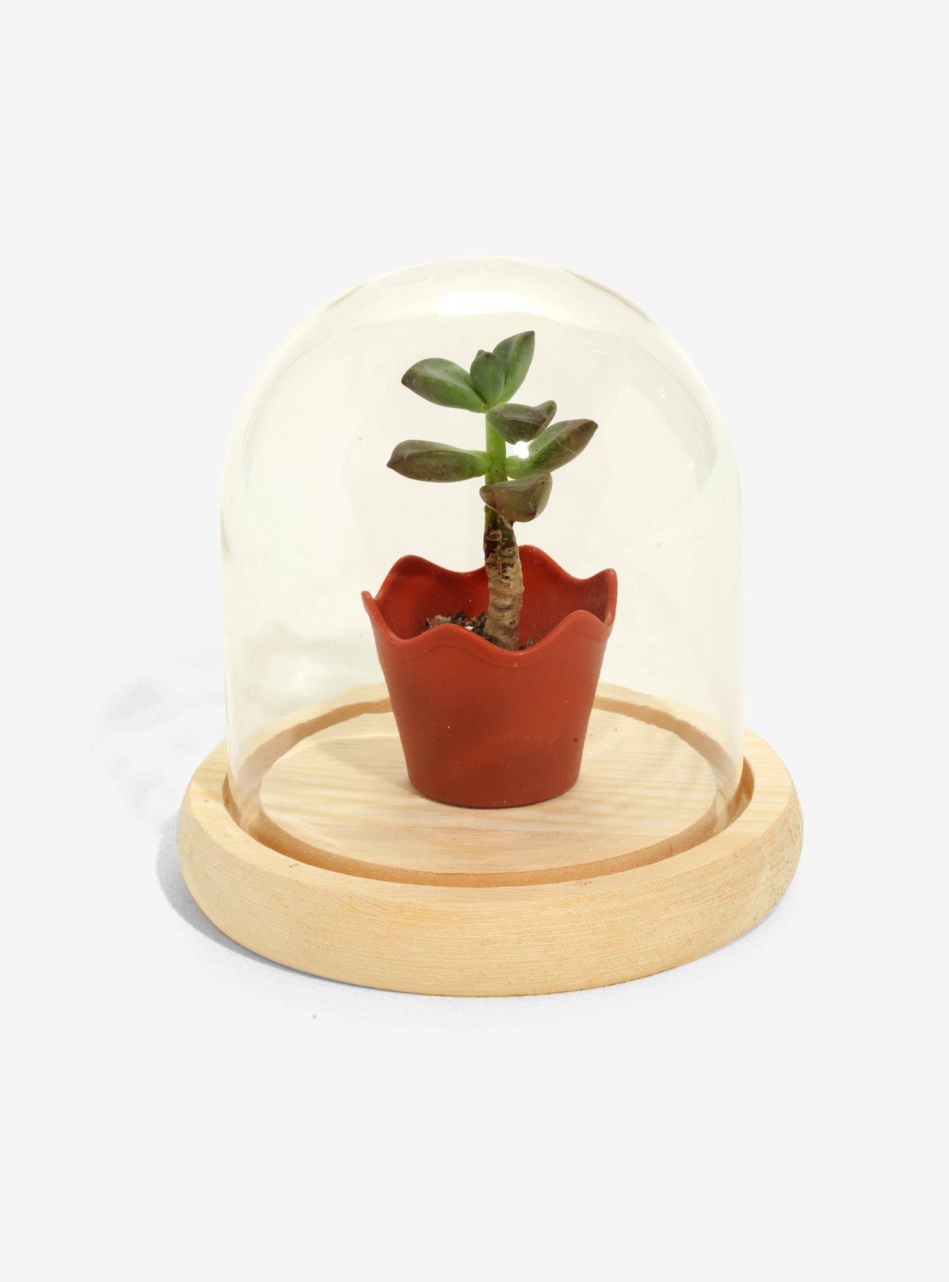 Small Bell Jar, , hi-res