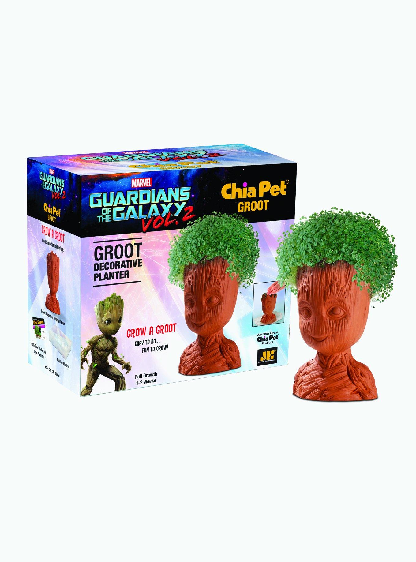  Chia Pet Hello Kitty with Seed Pack, Decorative Pottery  Planter, Easy to Do and Fun to Grow, Novelty Gift, Perfect for Any Occasion  : Toys & Games