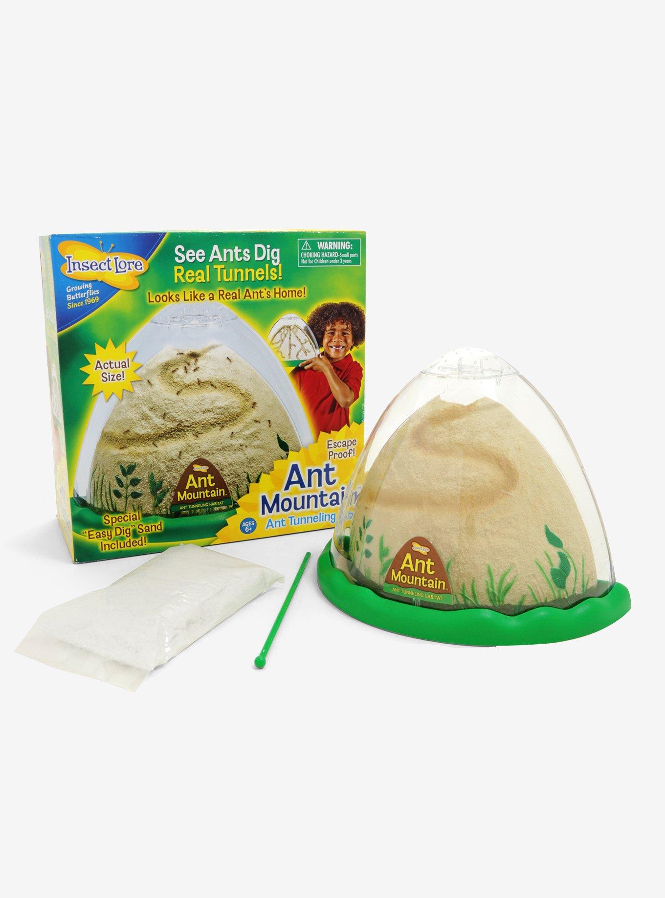 Insect Lore Ant Mountain Ant Tunneling Kit BoxLunch
