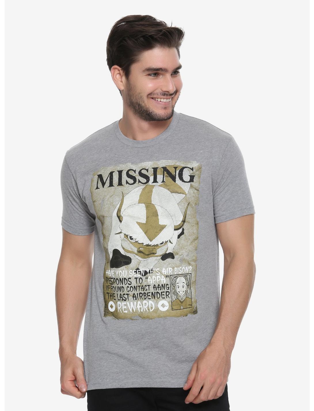 Avatar: The Last Airbender Missing Appa T-Shirt - BoxLunch Exclusive, GREY, hi-res