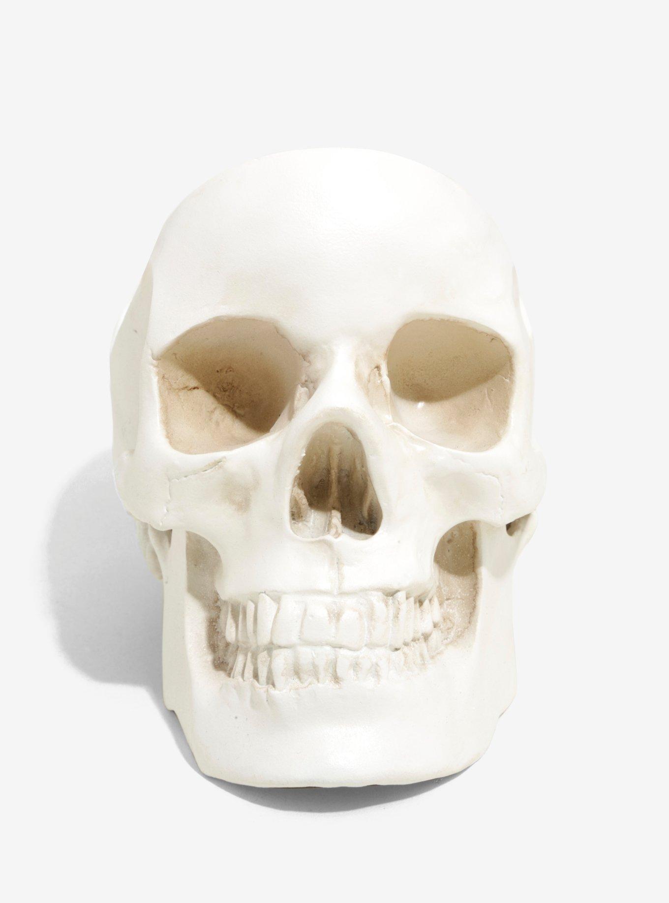 White Skull Trinket Bowl, , hi-res