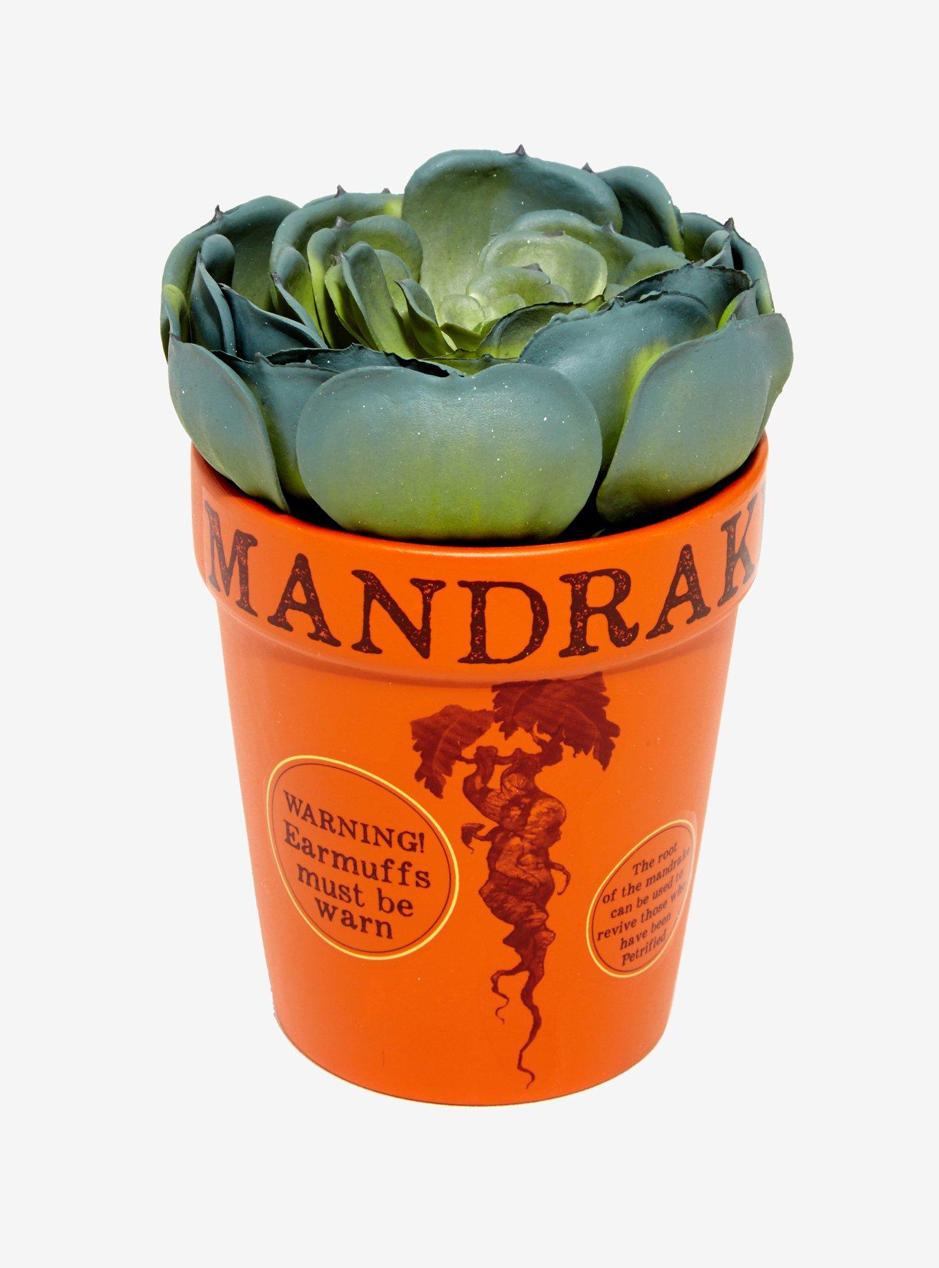 Harry Potter Mandrake Planter, , hi-res