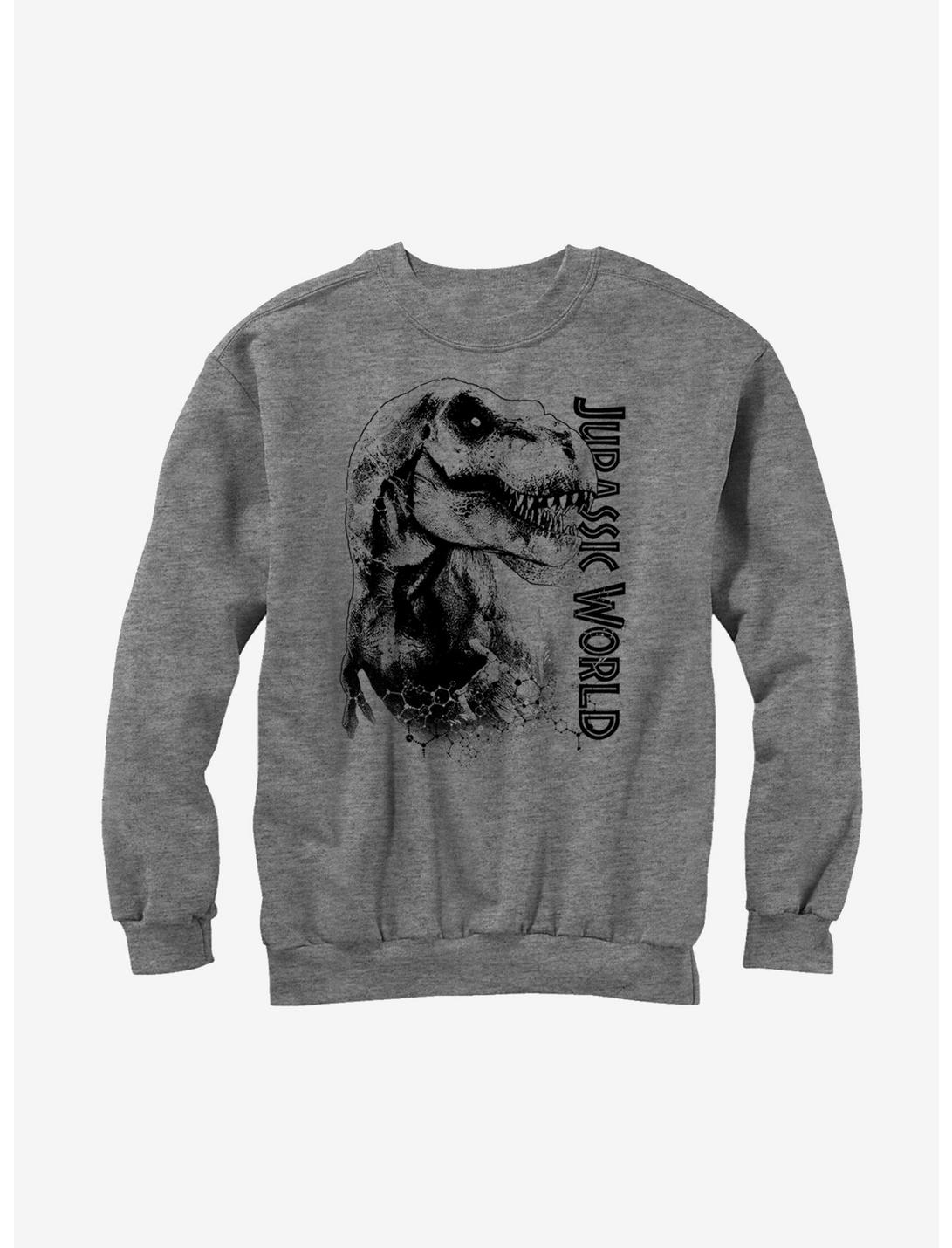 Jurassic World T. Rex Carnivore Sweatshirt, ATH HTR, hi-res