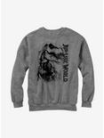 Jurassic World T. Rex Carnivore Sweatshirt, ATH HTR, hi-res