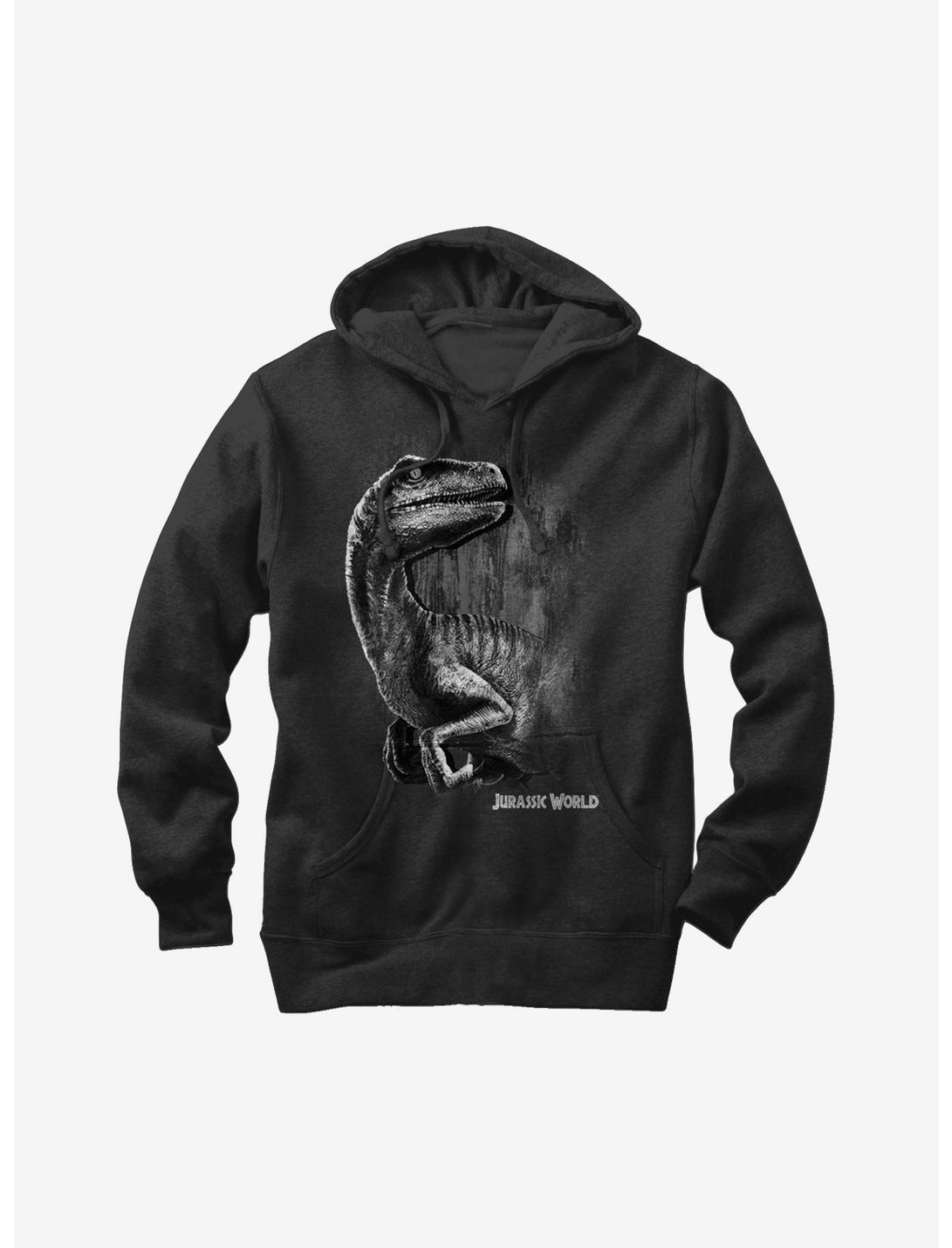 Jurassic World Blue The Velociraptor Hoodie, BLACK, hi-res