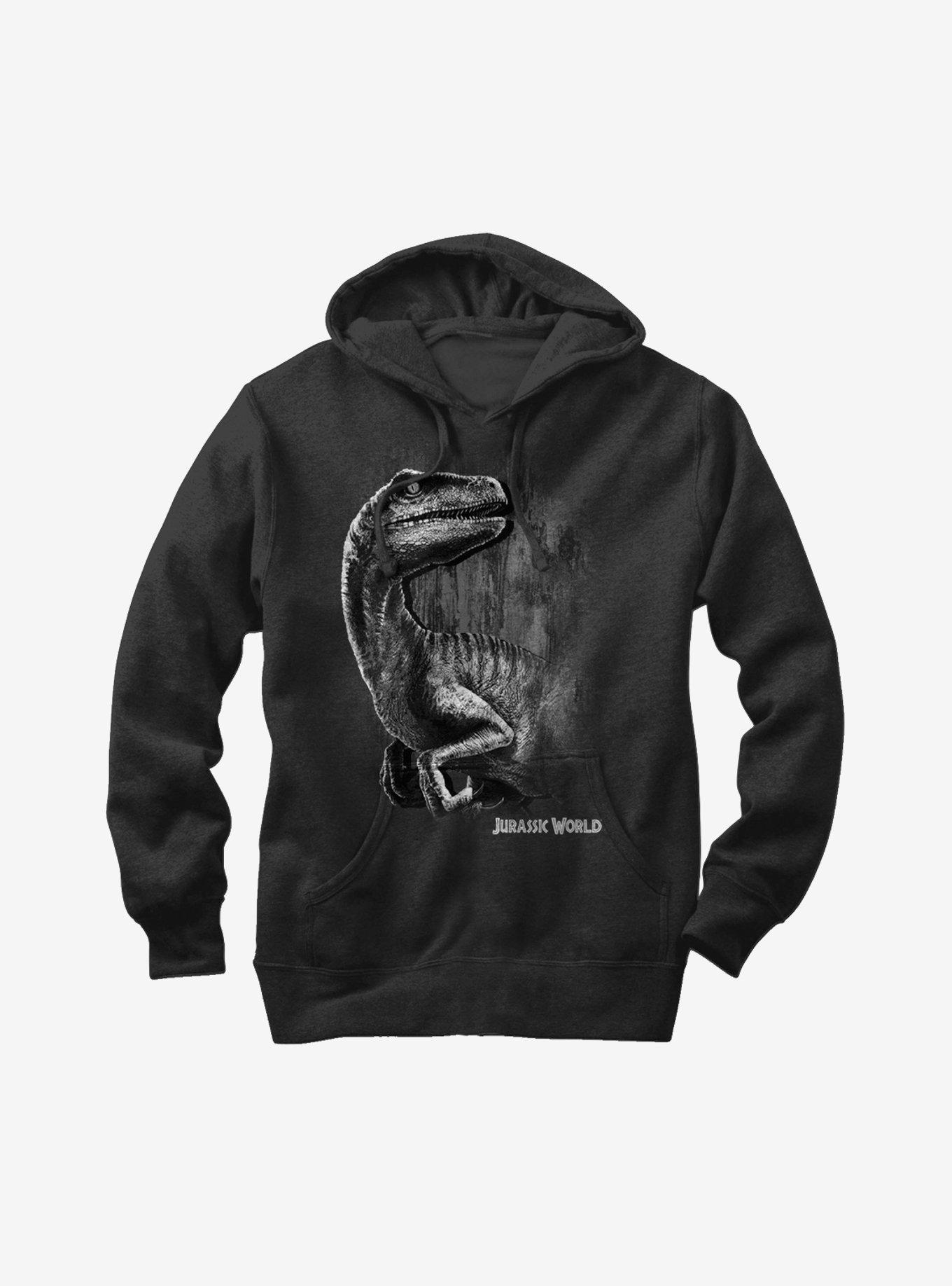 Jurassic World Blue The Velociraptor Hoodie, BLACK, hi-res