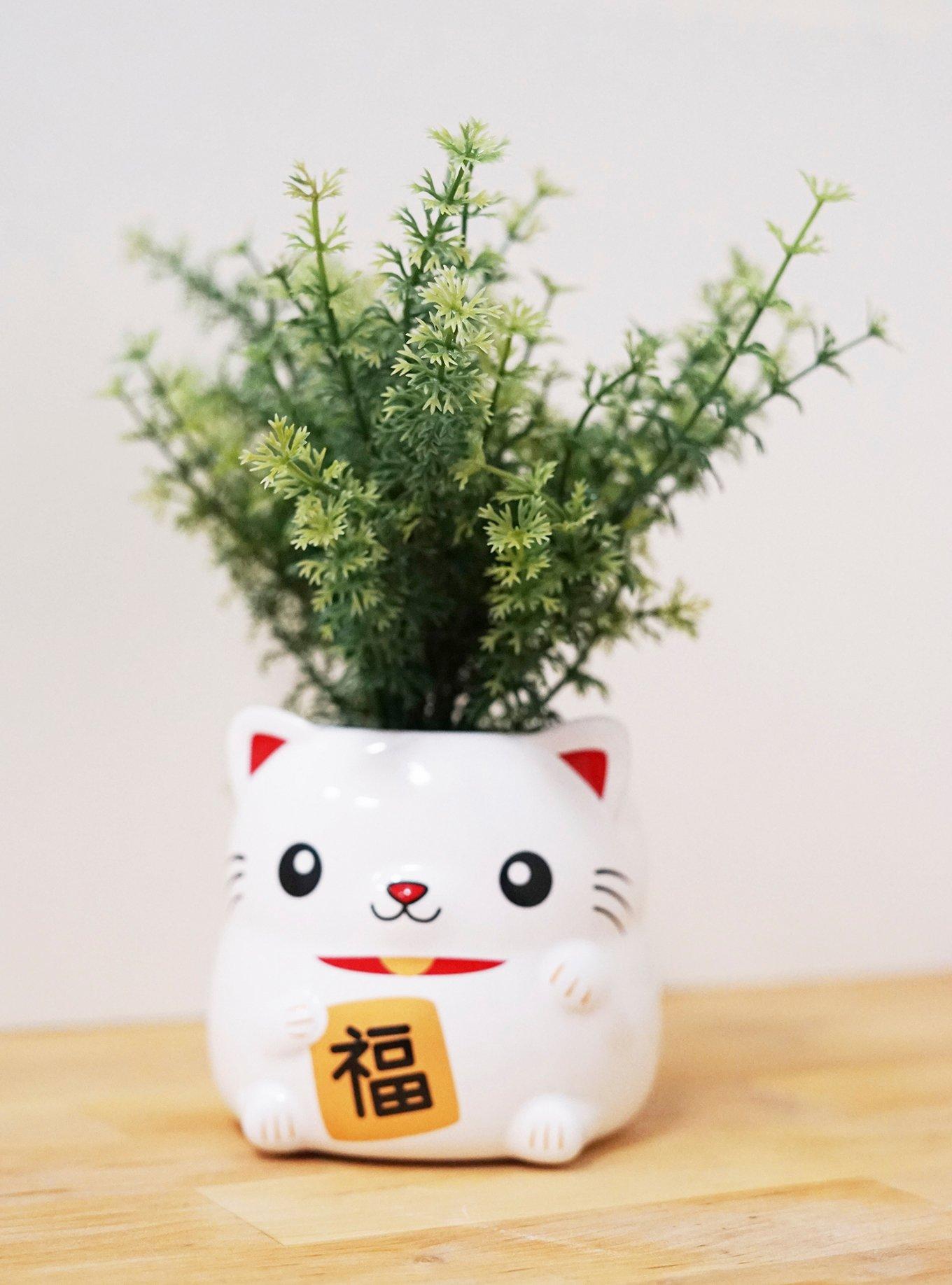 Smoko Lucky Cat Niko Planter, , hi-res