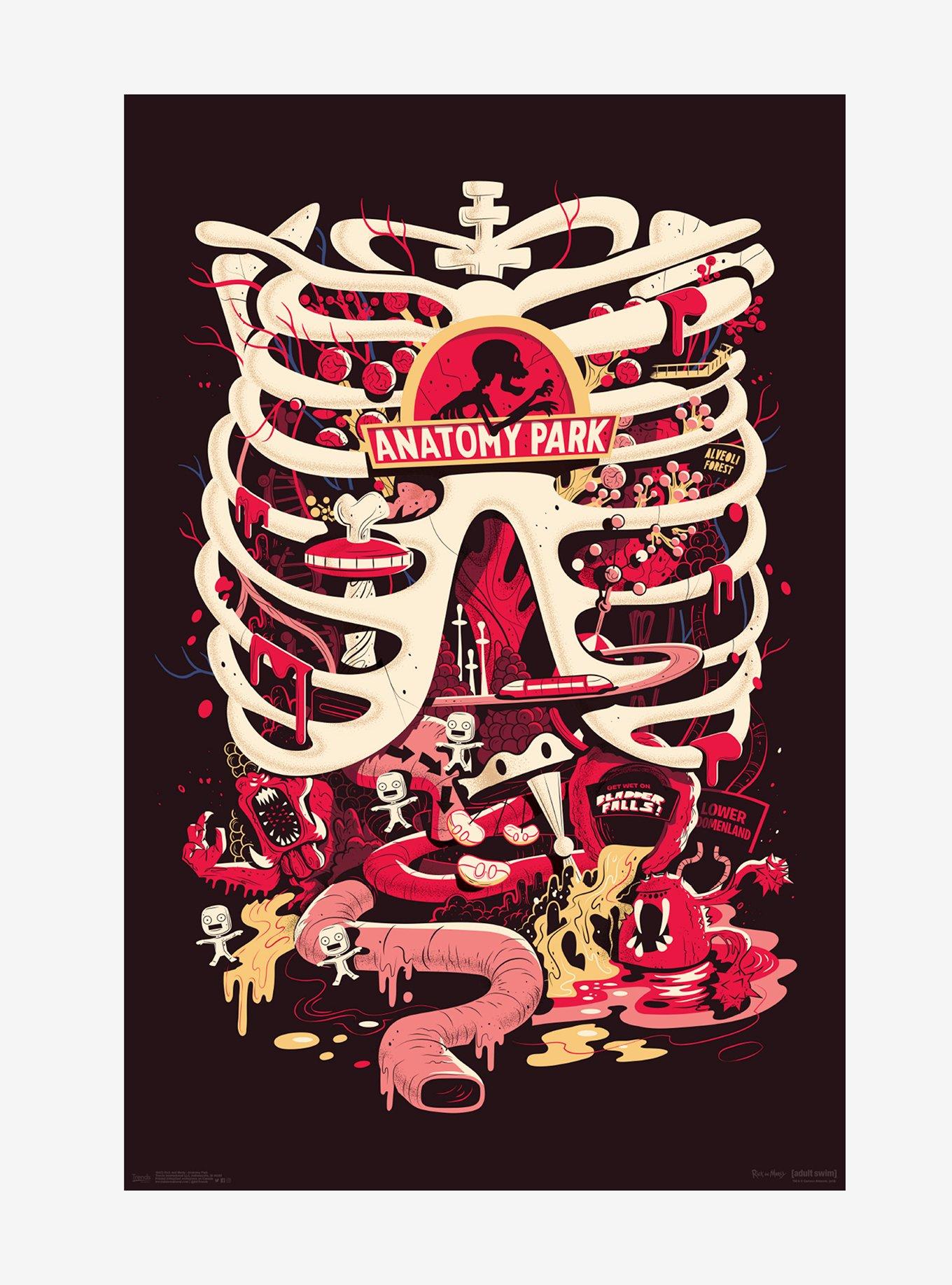 Rick And Morty Anatomy Park Poster, , hi-res