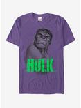 Marvel Hulk Smile Sketch T-Shirt, PURPLE, hi-res
