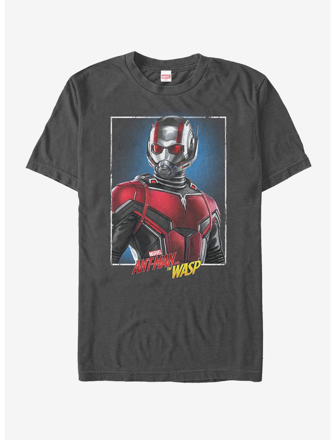 Marvel Ant-Man and the Wasp Frame T-Shirt, CHARCOAL, hi-res