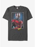 Marvel Ant-Man and the Wasp Frame T-Shirt, CHARCOAL, hi-res