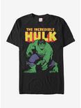 Plus Size Marvel Incredible Hulk T-Shirt, BLACK, hi-res