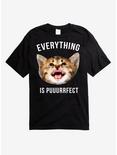 Everything Is Puuurrfect Cat T-Shirt, BLACK, hi-res