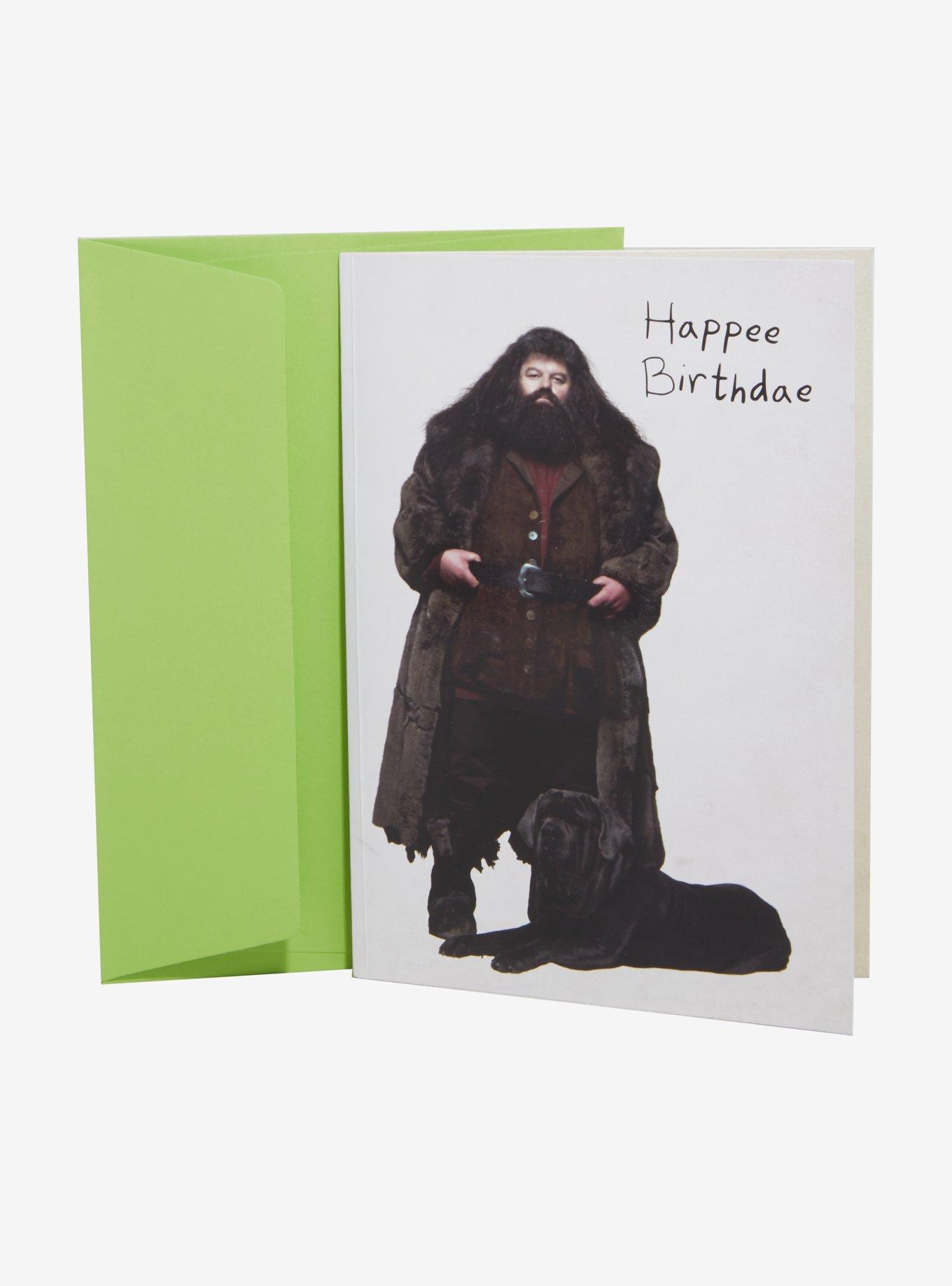 Harry Potter Happee Birthdae Cake Pop-Up Card, , hi-res